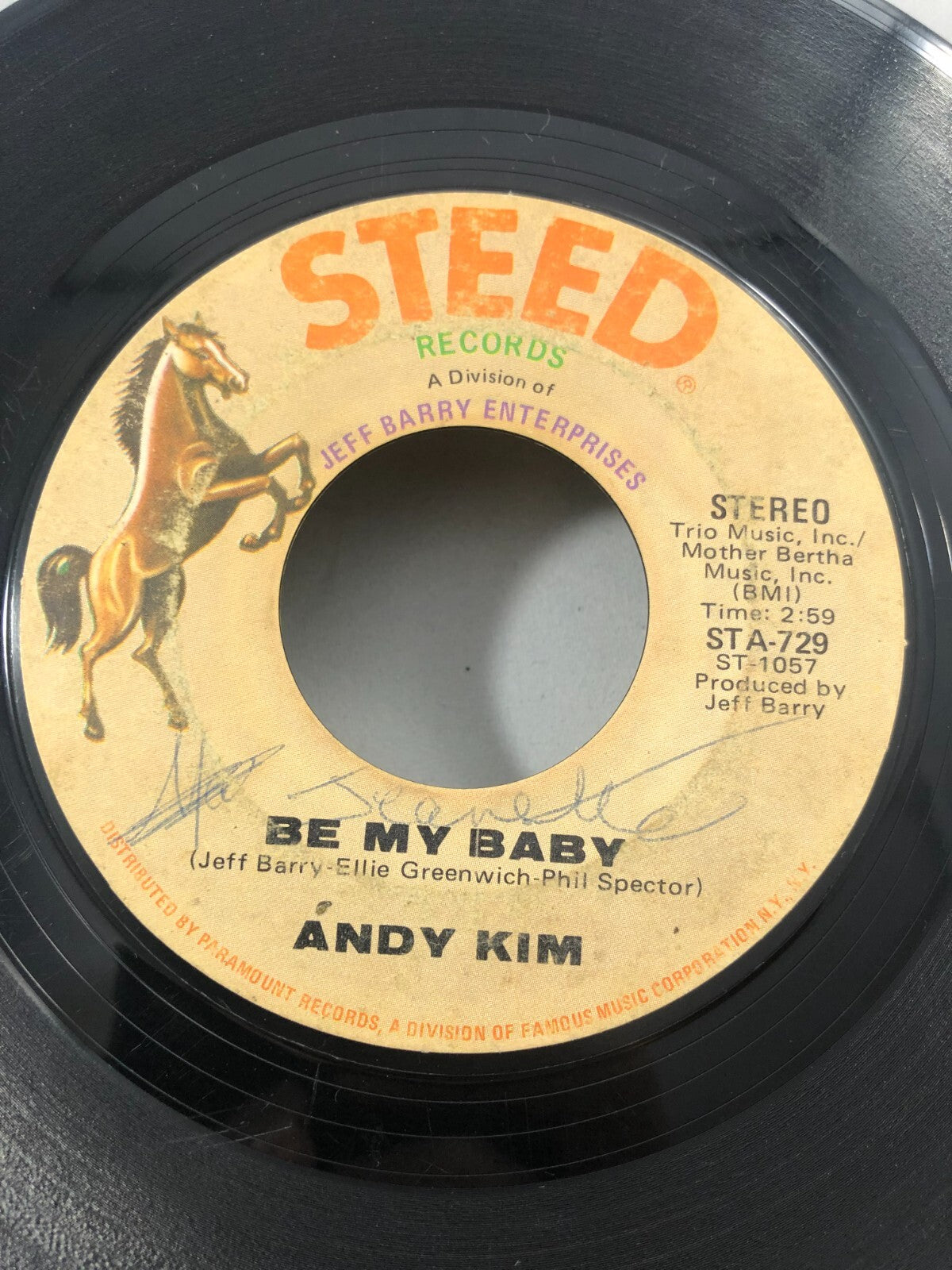 Andy Kim 45 RPM - Be My Baby / Love That Little Woman - Steed STA-739. 1970 VG+