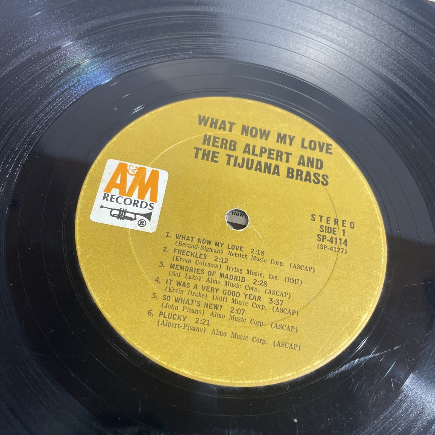 1966 Herb Alpert & The Tijuana Brass Vinyl What Now My Love LP-114 Vinyl Record