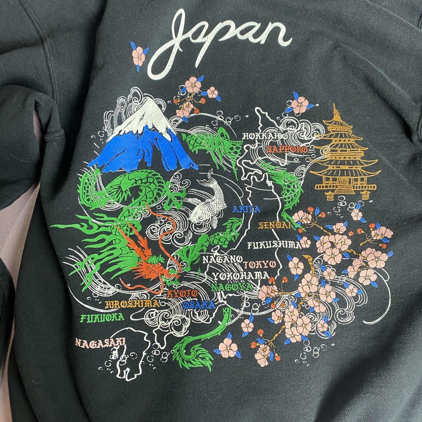 Gildan Hoodie Mens Small Japan Map Graphic Sweatshirt Pullover Cherry Blossom