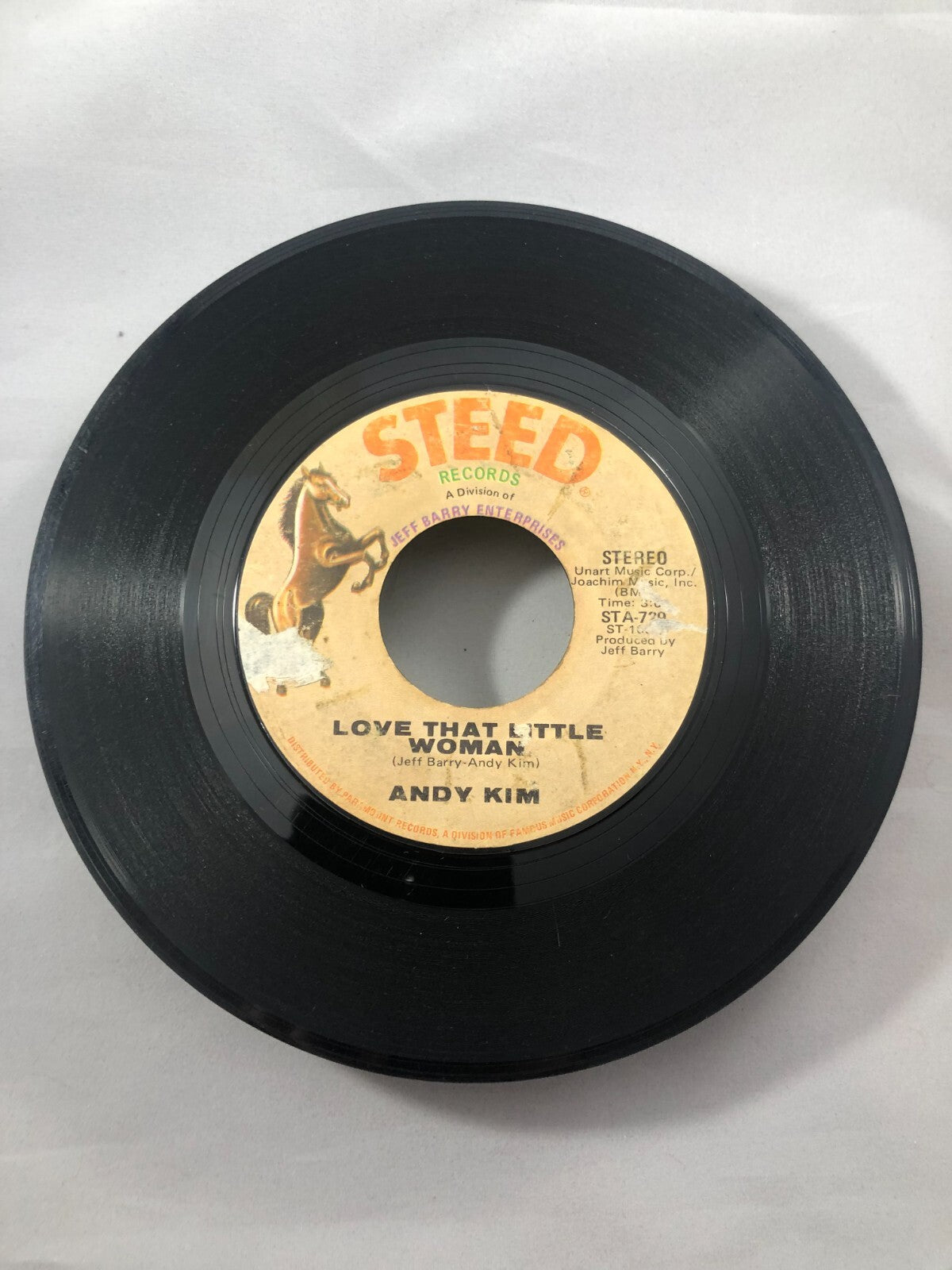 Andy Kim 45 RPM - Be My Baby / Love That Little Woman - Steed STA-739. 1970 VG+