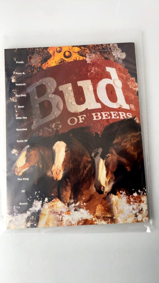 Playboy June 1992 Playmate of the Year Ralph Nader Interview