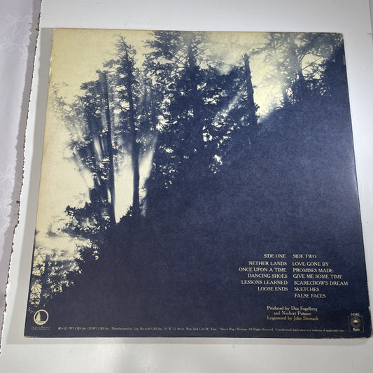 Dan Fogelberg Nether Lands LP Full Moon Epic PE 34185 1977 Record VG