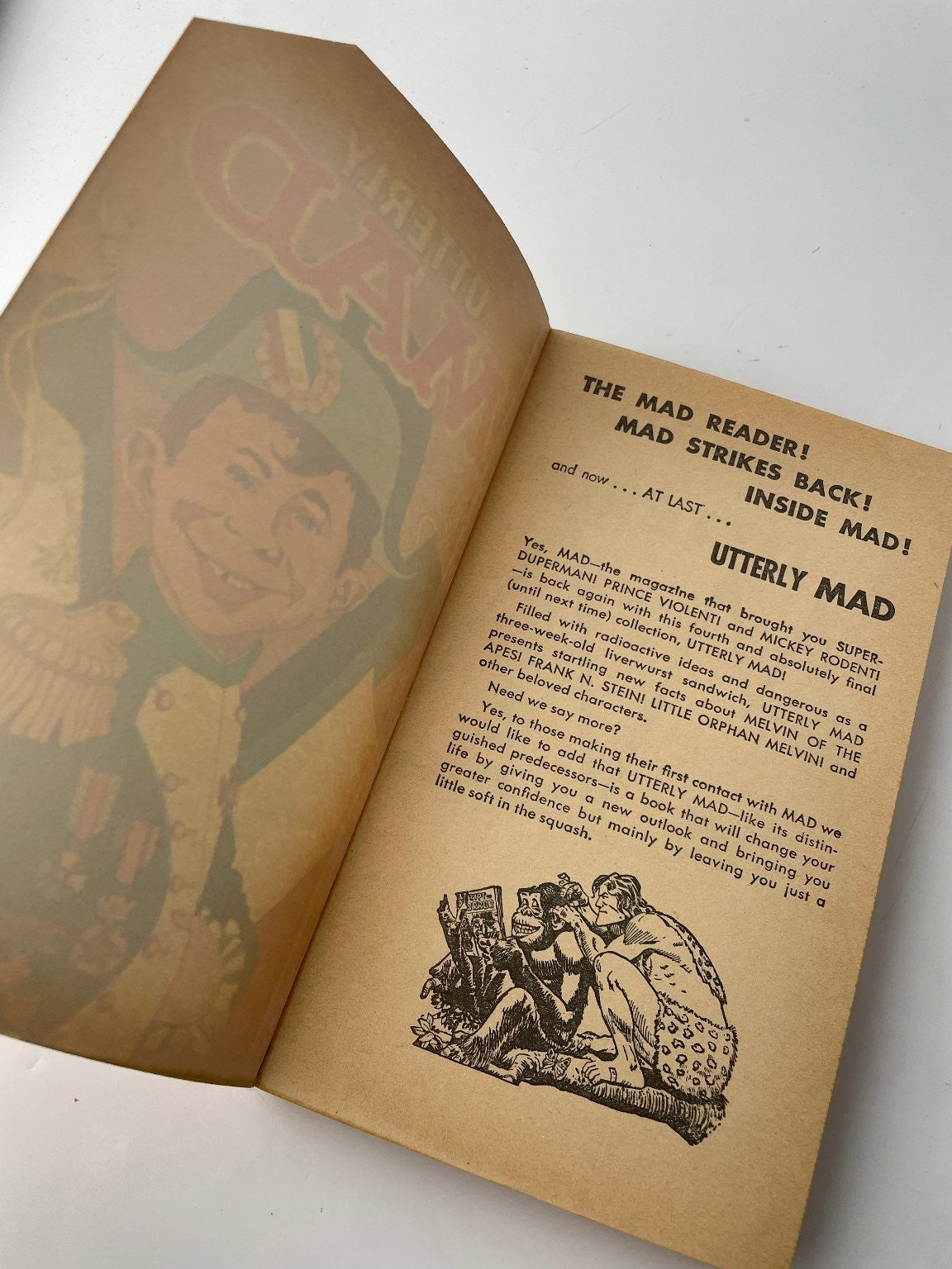 Utterly Mad William M. Gaines 1956 Vintage Illustrated Humor Ballantine