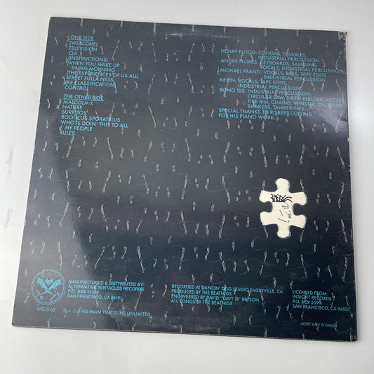 The Beatings- LP. (1988) Rare Vintage Dancin Dog Studio Insight Records