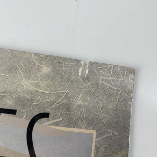 The Whites Ain't No BInds 33RPM MCA-5820 Vintage 1980s Original Record