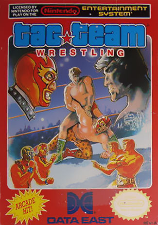Tag Team Wrestling Nintendo NES Cart Only Authentic / Tested - (See Pics)