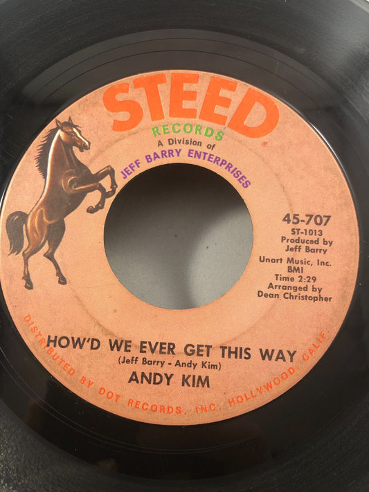 Andy Kim Are You Ever Coming Home How'd We Ever Get This Way 45 rpm Vinyl Record