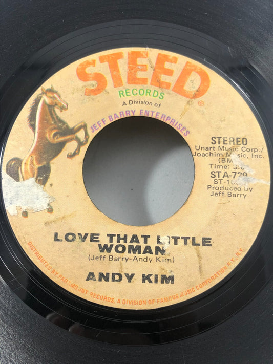 Andy Kim 45 RPM - Be My Baby / Love That Little Woman - Steed STA-739. 1970 VG+