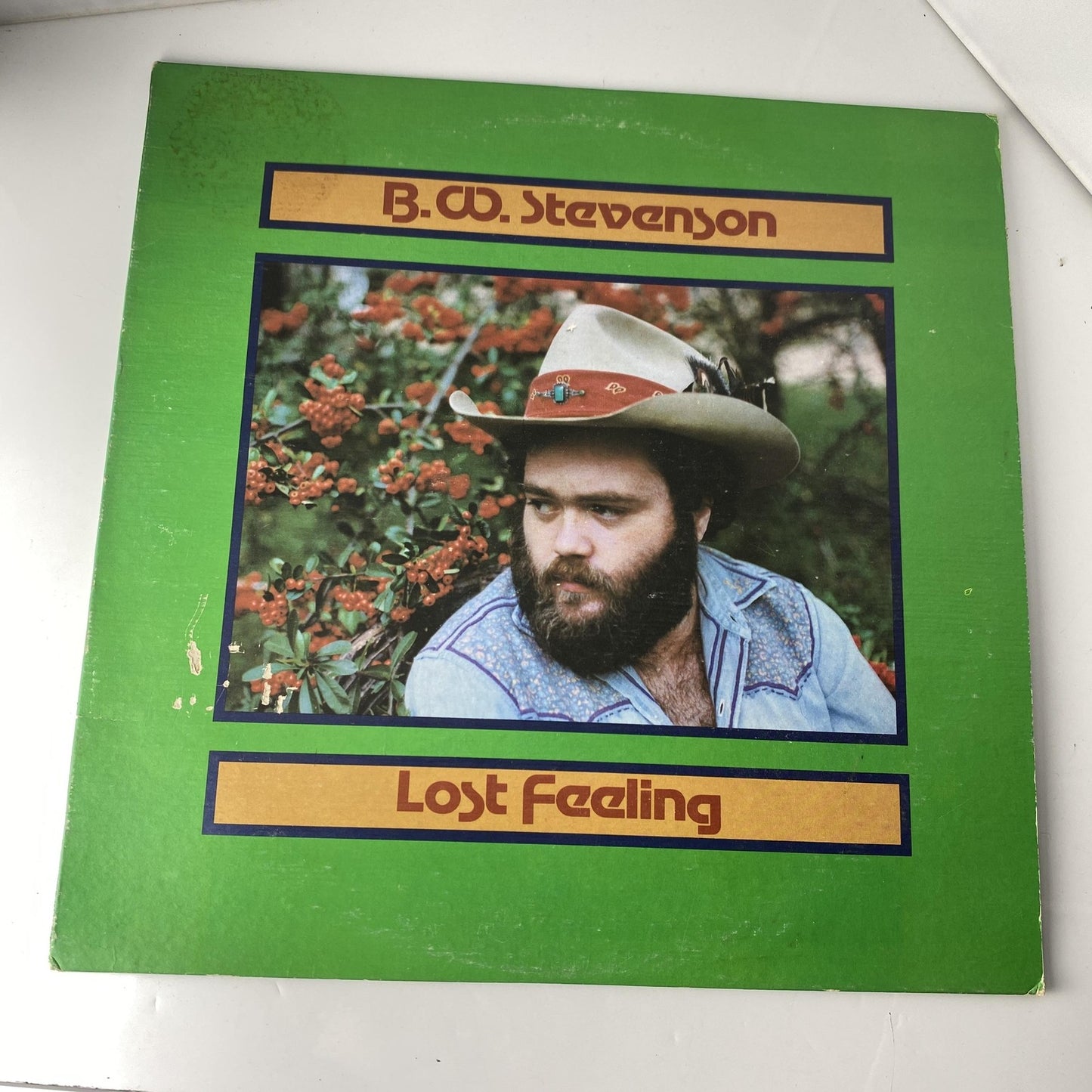 Vintage Narvel Felts Narvel 12" Black Vinyl LP 1977 ABC Dot DO-2095 Country