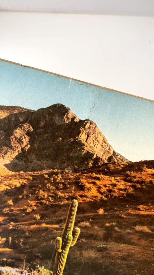 Arizona Highways Magazine June 1956 #6 Great Horned Owl Arizona Highway