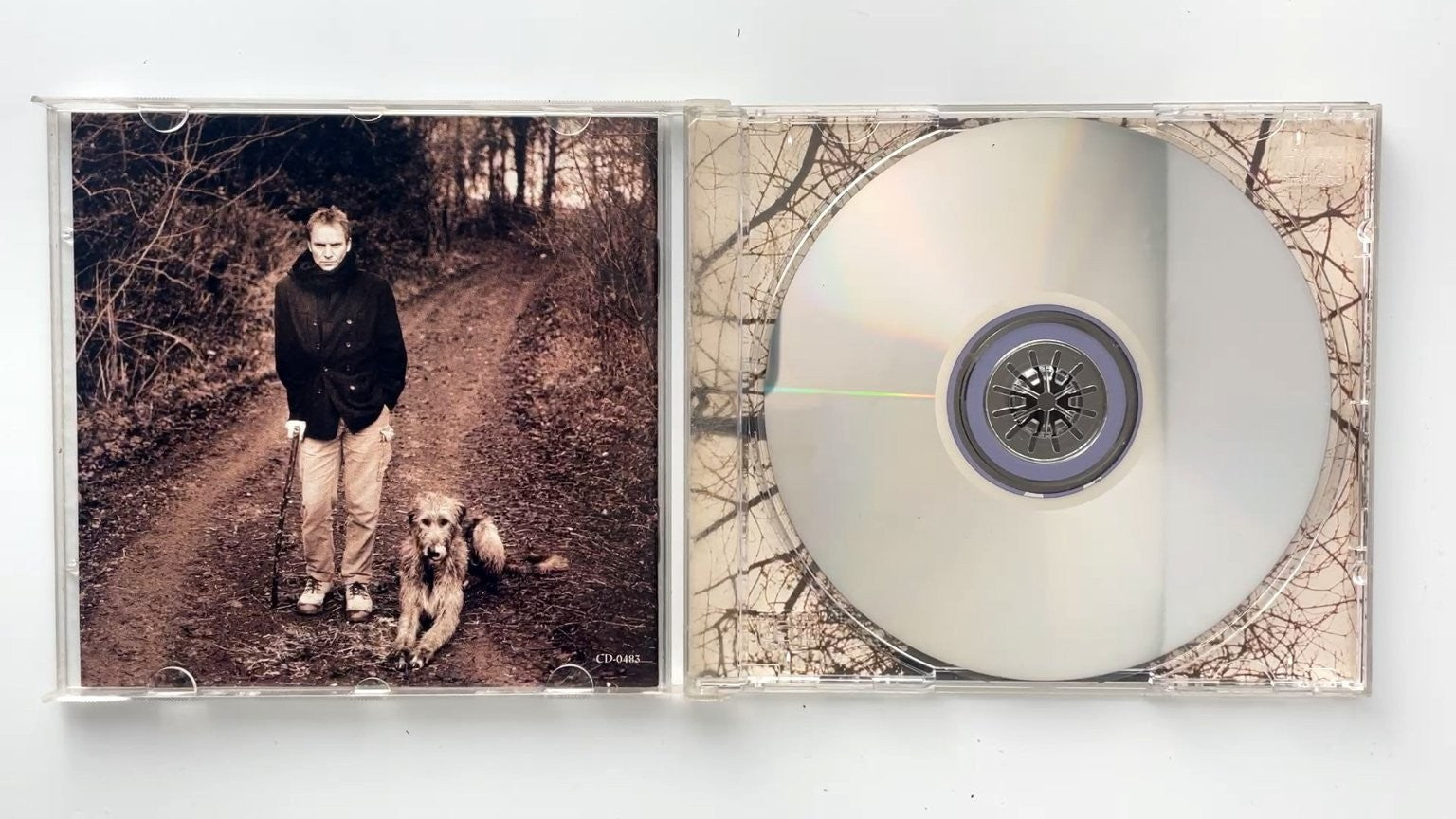 Sting Mercury Falling CD Jewel Case 1996 A&M Records Pop Rock