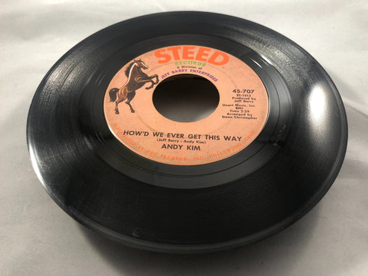 Andy Kim Are You Ever Coming Home How'd We Ever Get This Way 45 rpm Vinyl Record