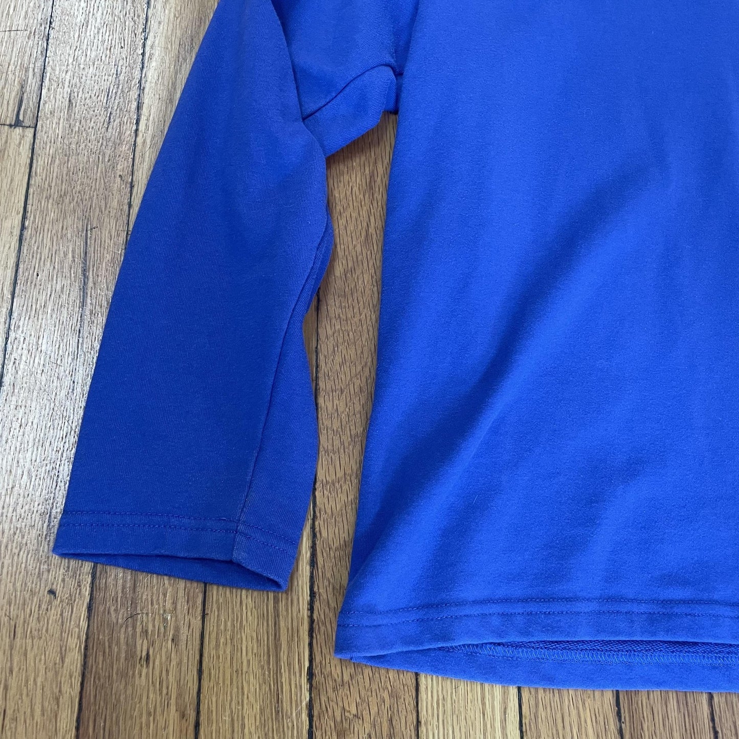 Champion Pullover Shirt Mens Large Blue Saint Louis Billikens Mascot Long Sleeve
