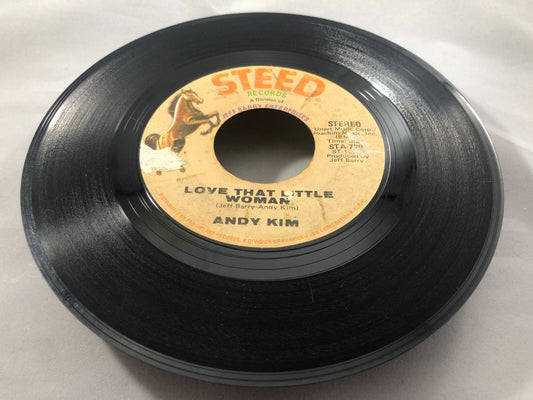 Andy Kim 45 RPM - Be My Baby / Love That Little Woman - Steed STA-739. 1970 VG+
