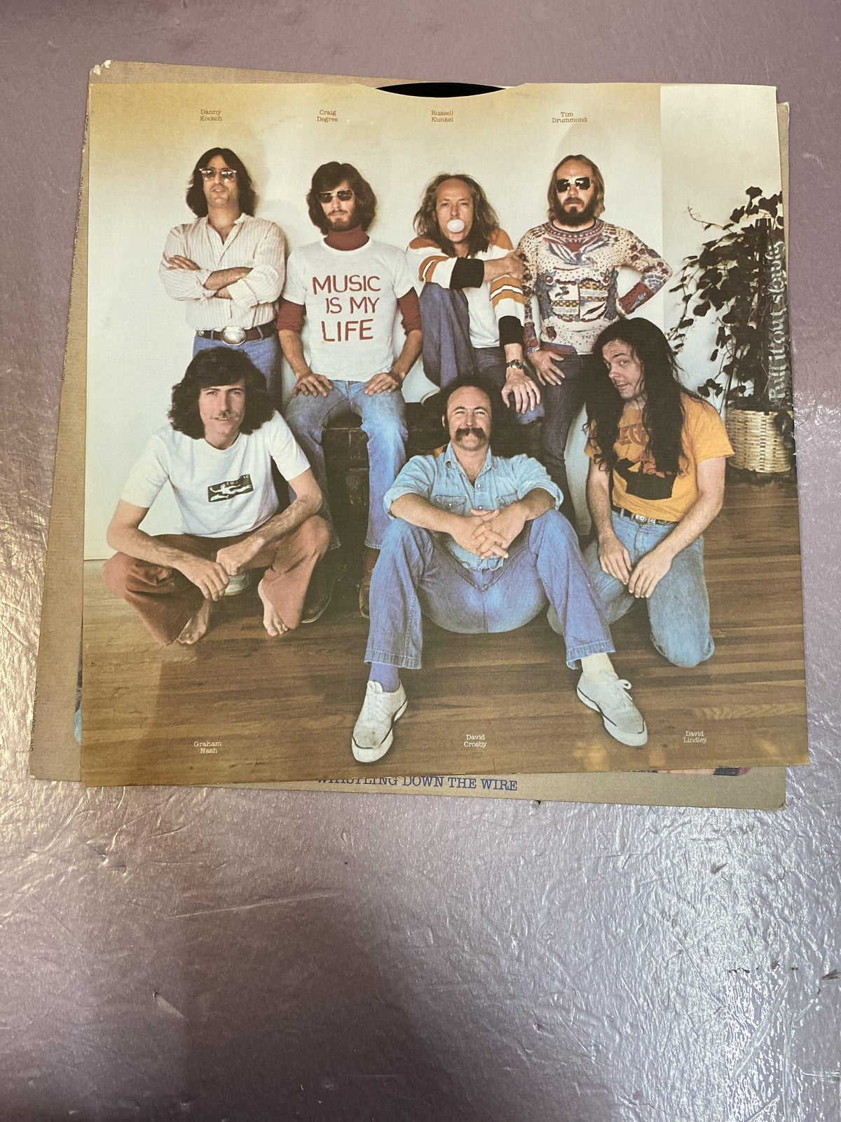 Vintage Crosby Nash Whistling Down The Wire 12" Vinyl LP 1976 ABC Rock