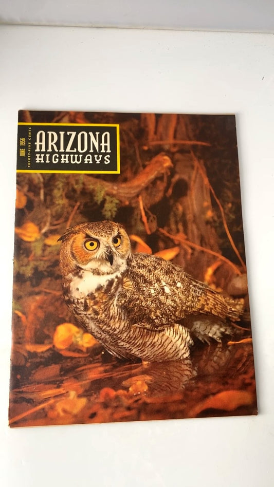 Arizona Highways Magazine June 1956 #6 Great Horned Owl Arizona Highway