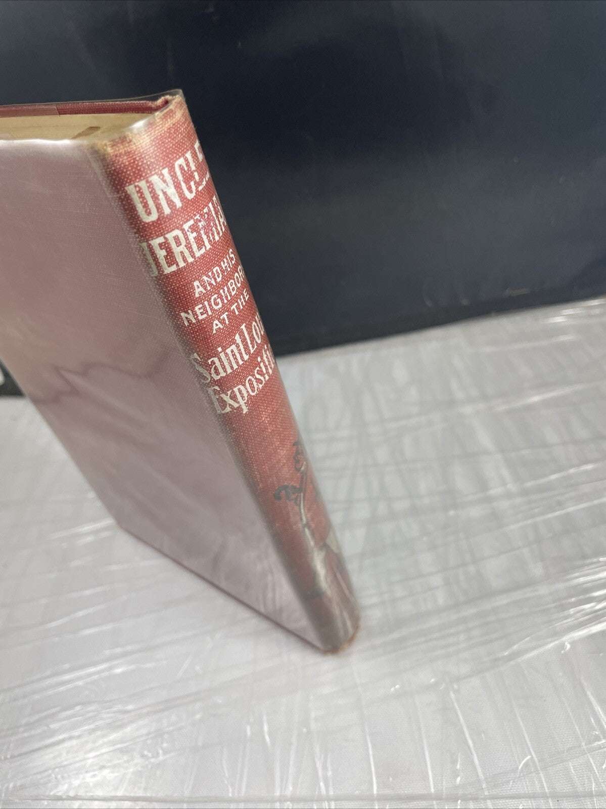 Antique STL Worlds Uncle Jeremiah Neighbors At The St. Louis Exposition Stevens