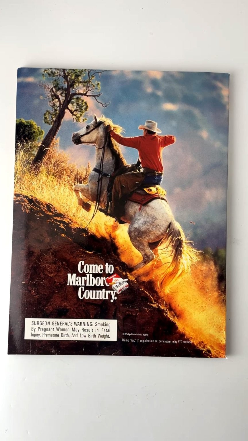 Playboy September 1998 Lisa Rinna Cover Illustrated Men's Magazine