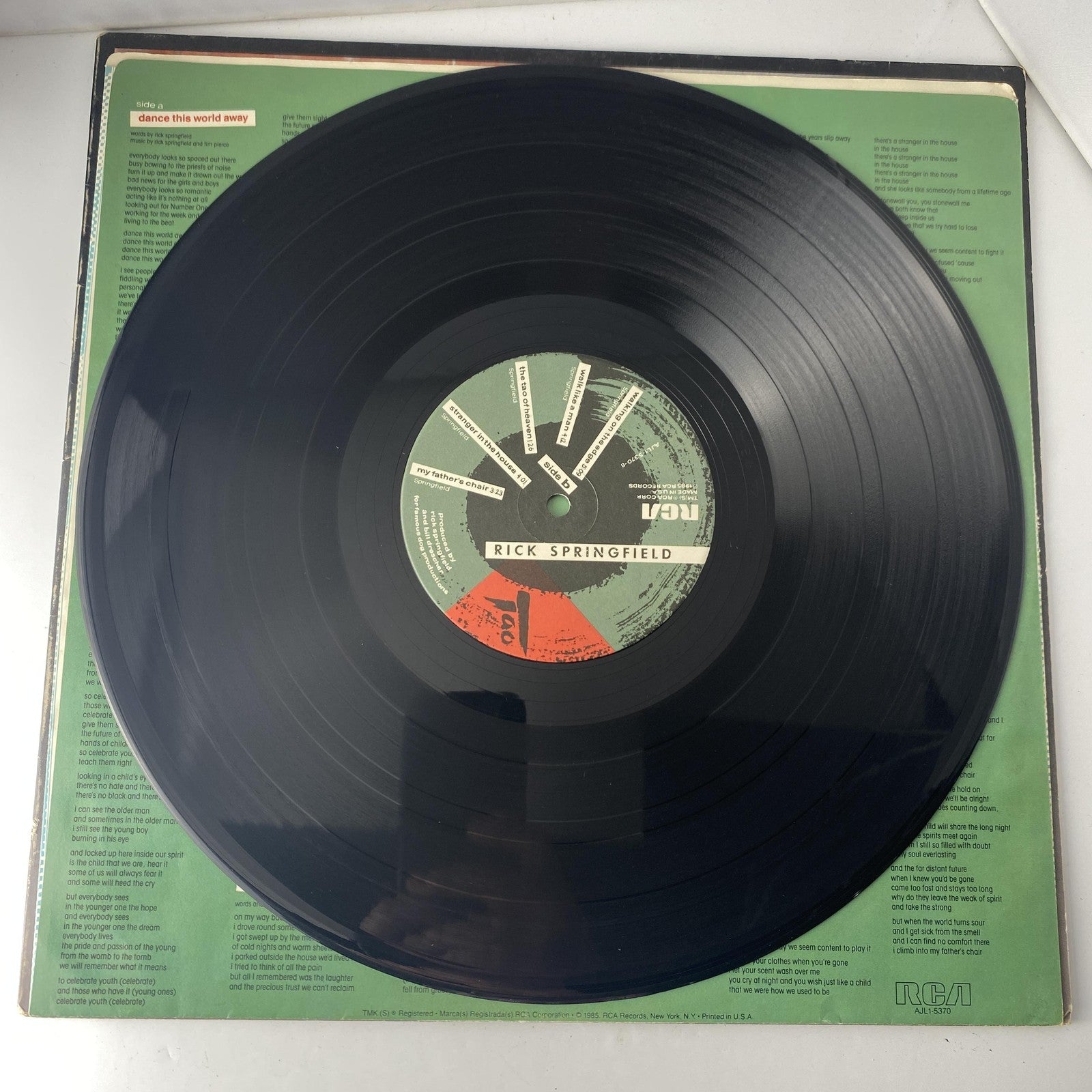 Vintage Rick Springfield Tao 12" Black Vinyl LP 1985 RCA Pop Rock Album