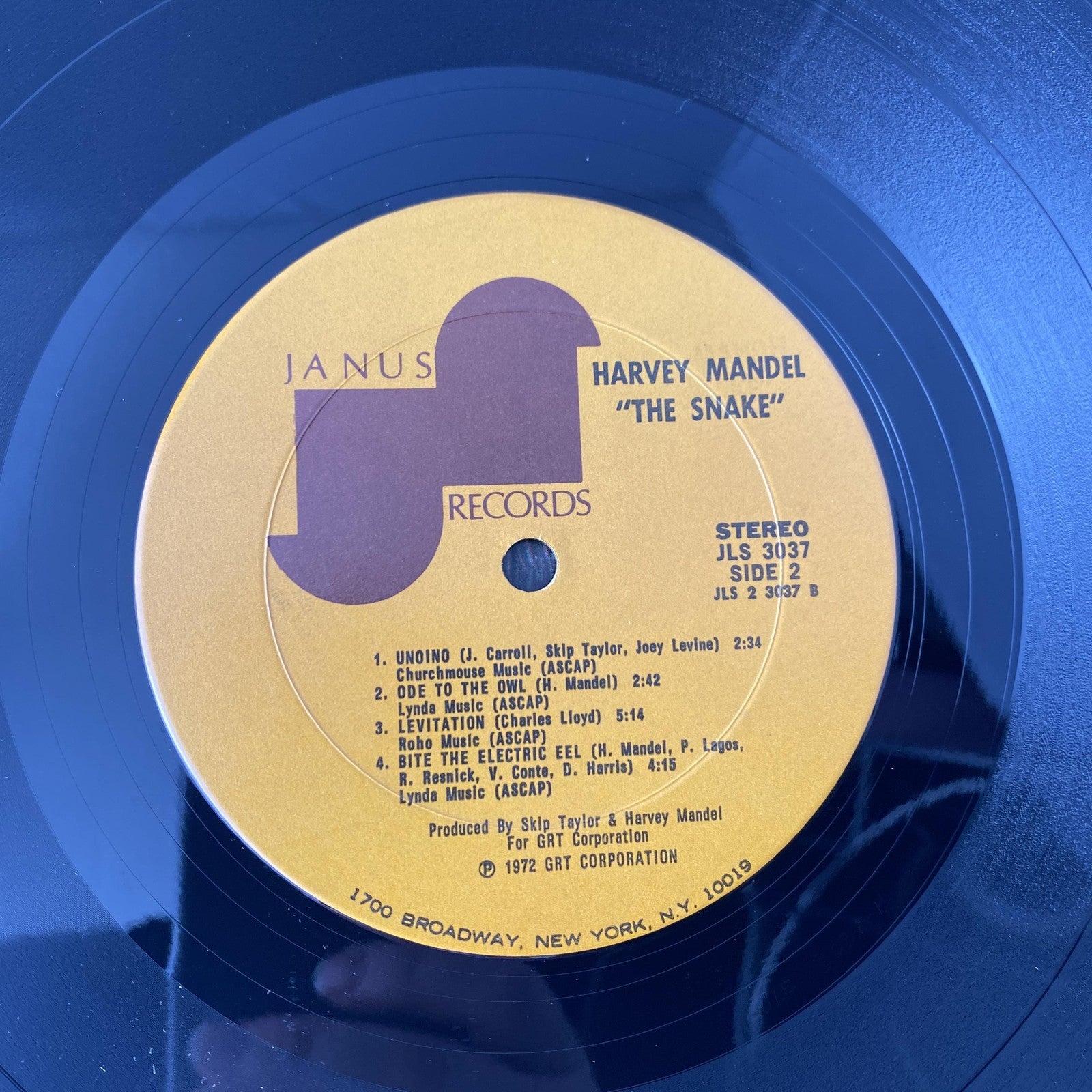 Vintage Harvey Mandel The Snake 12" Black Vinyl LP 1972 Janis Blues Rock Album