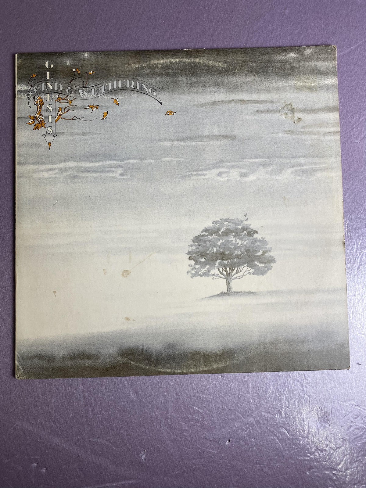 Vintage Genesis Wind & Wuthering 12" Vinyl LP ATCO SD 36-144 Prog Rock Album