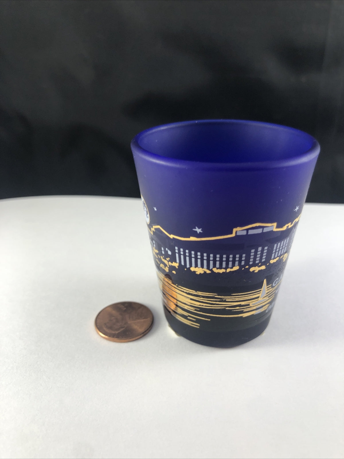 Gaylord Texan Resort on Lake Grapevine Blue Gold White Shot Glass Souvenir