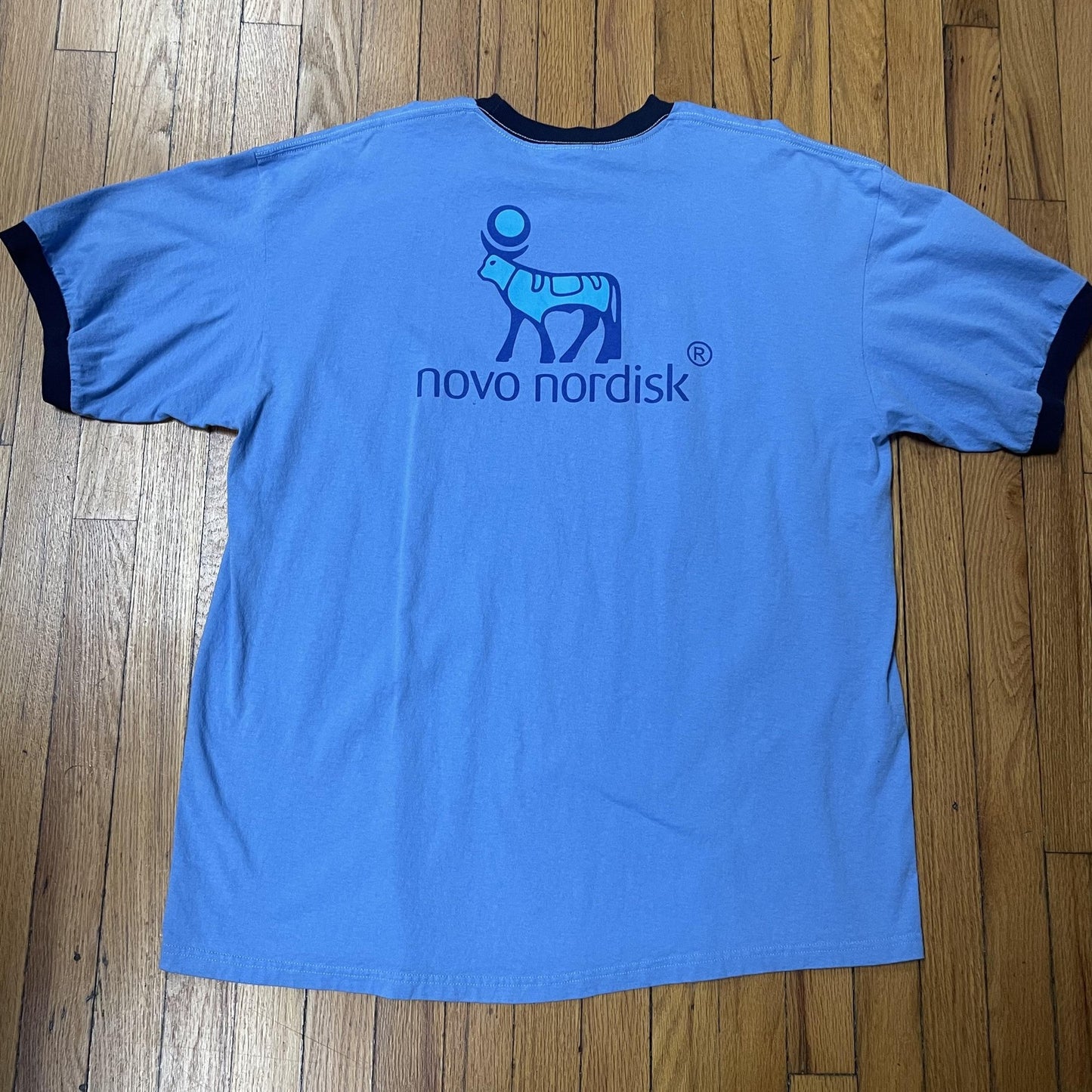 Vintage AADE Walk Jog A Thon Shirt Mens 2XL Blue Ringer Washington DC 2005 Tee