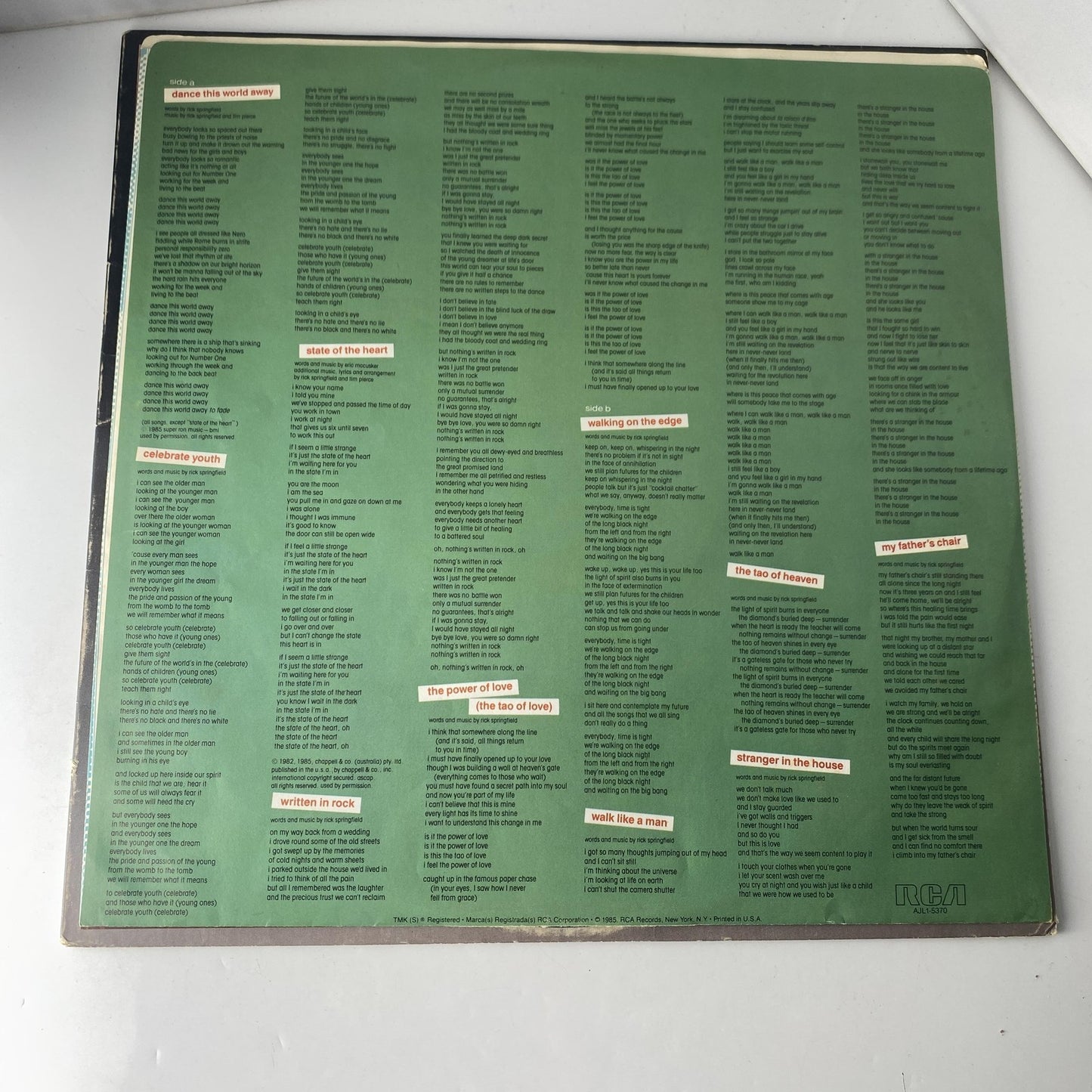 Vintage Rick Springfield Tao 12" Black Vinyl LP 1985 RCA Pop Rock Album