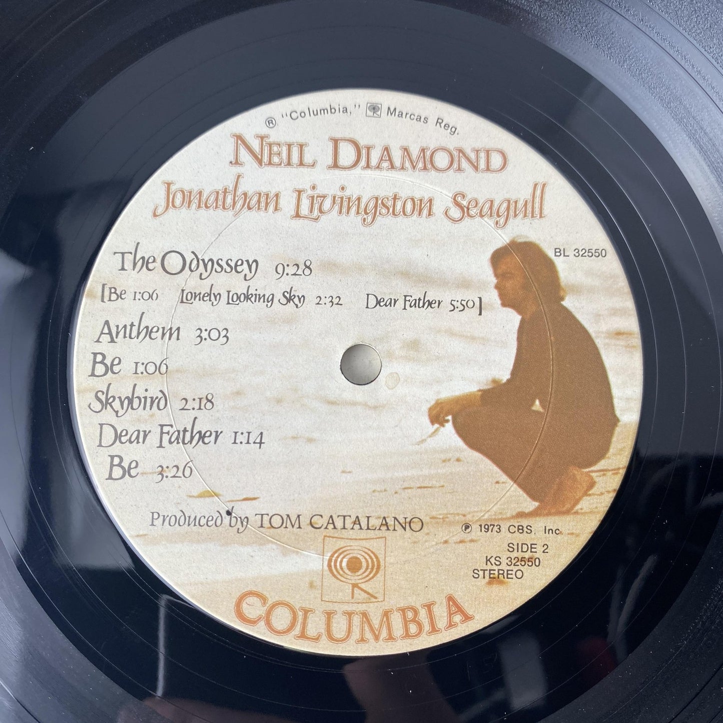 Vintage Neil Diamond Jonathan Livingston Seagull 12" Vinyl LP Columbia OST