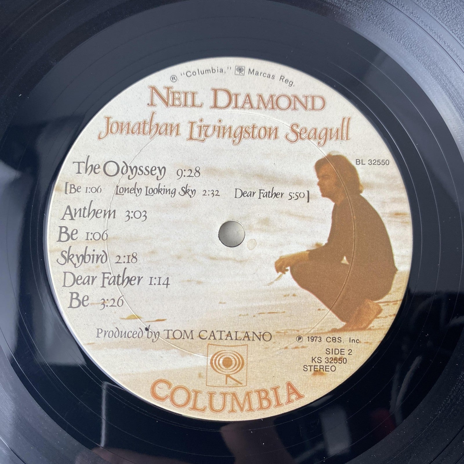 Vintage Neil Diamond Jonathan Livingston Seagull 12" Vinyl LP Columbia OST