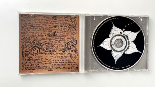 KT Tunstall - Eye to the Telescope CD 2004 Debut Rock Pop Relentless EMI