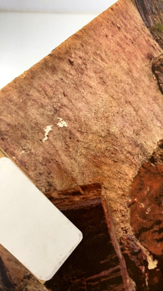 Arizona Highways Magazine July 1958 Vol 34 #7 Petrified Forest Painted Desert