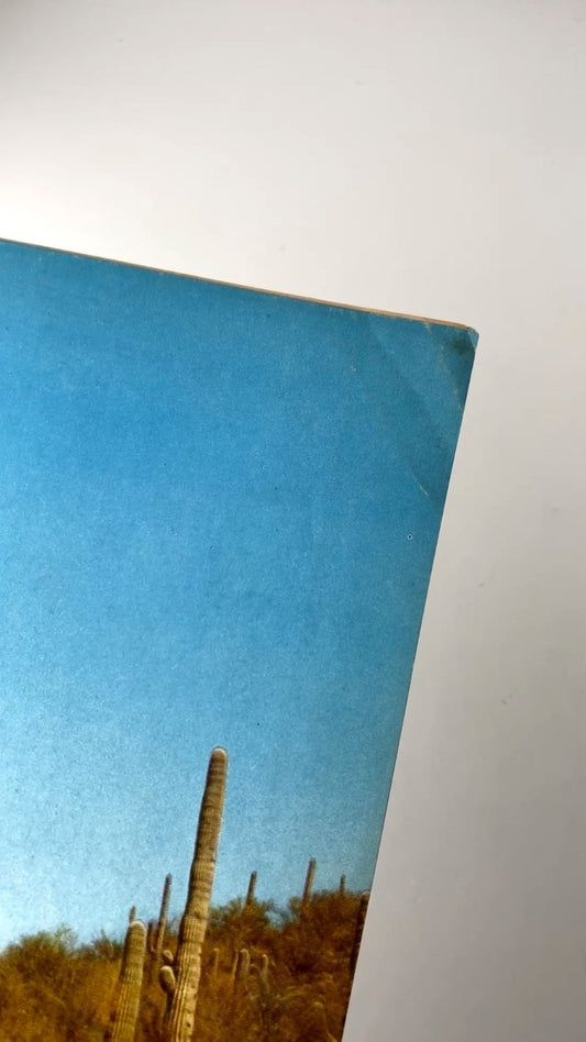 Arizona Highways Magazine November 1957 Vol XXXIII No 11 Desert Travel