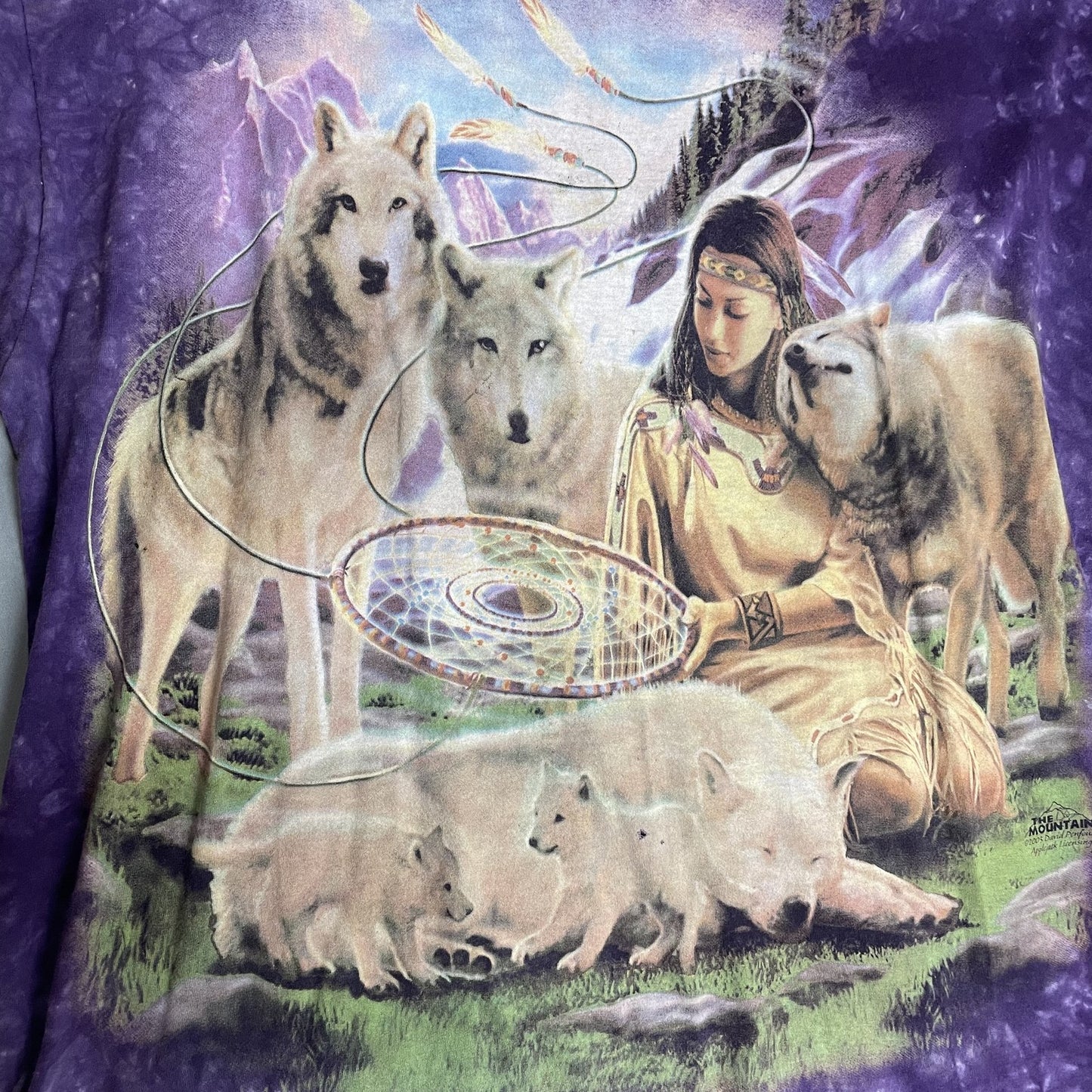 Vintage The Mountain Wolves Shirt Mens XL Tie Dye Native Graphic Art 2005 00s