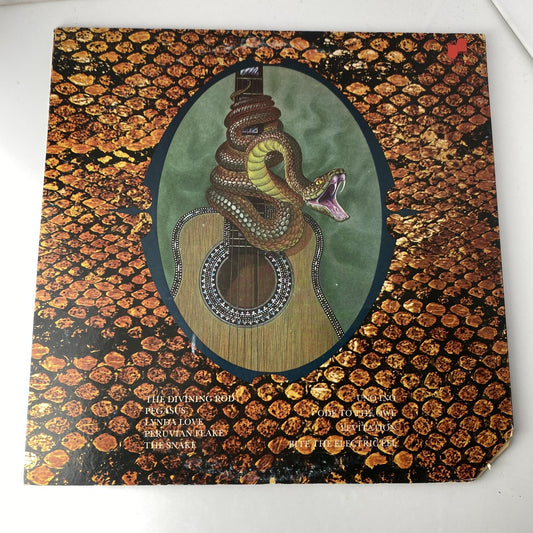 Vintage Harvey Mandel The Snake 12" Black Vinyl LP 1972 Janis Blues Rock Album