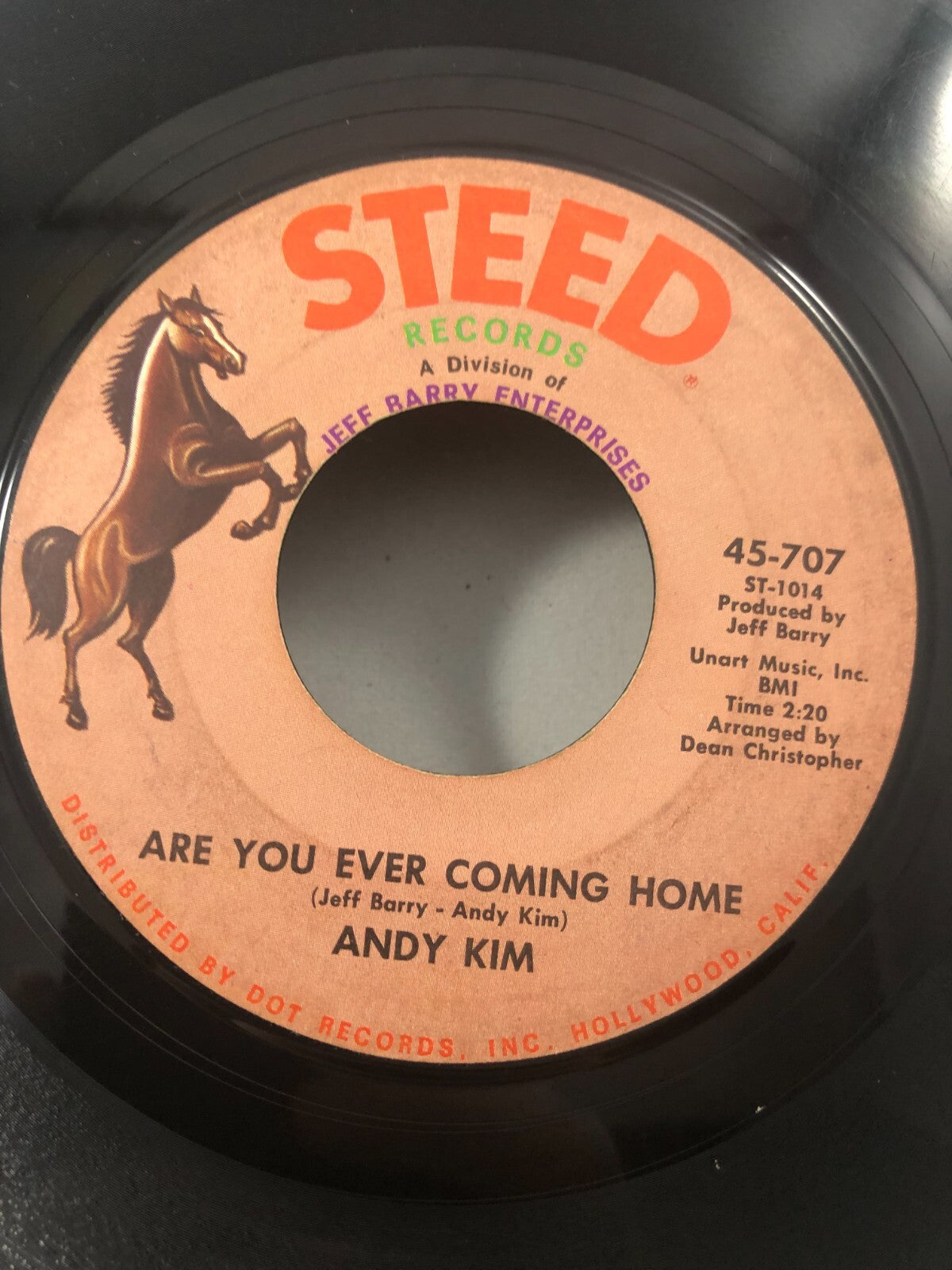 Andy Kim Are You Ever Coming Home How'd We Ever Get This Way 45 rpm Vinyl Record