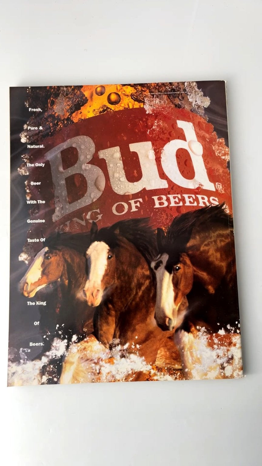 Playboy June 1992 Playmate of the Year Ralph Nader Interview