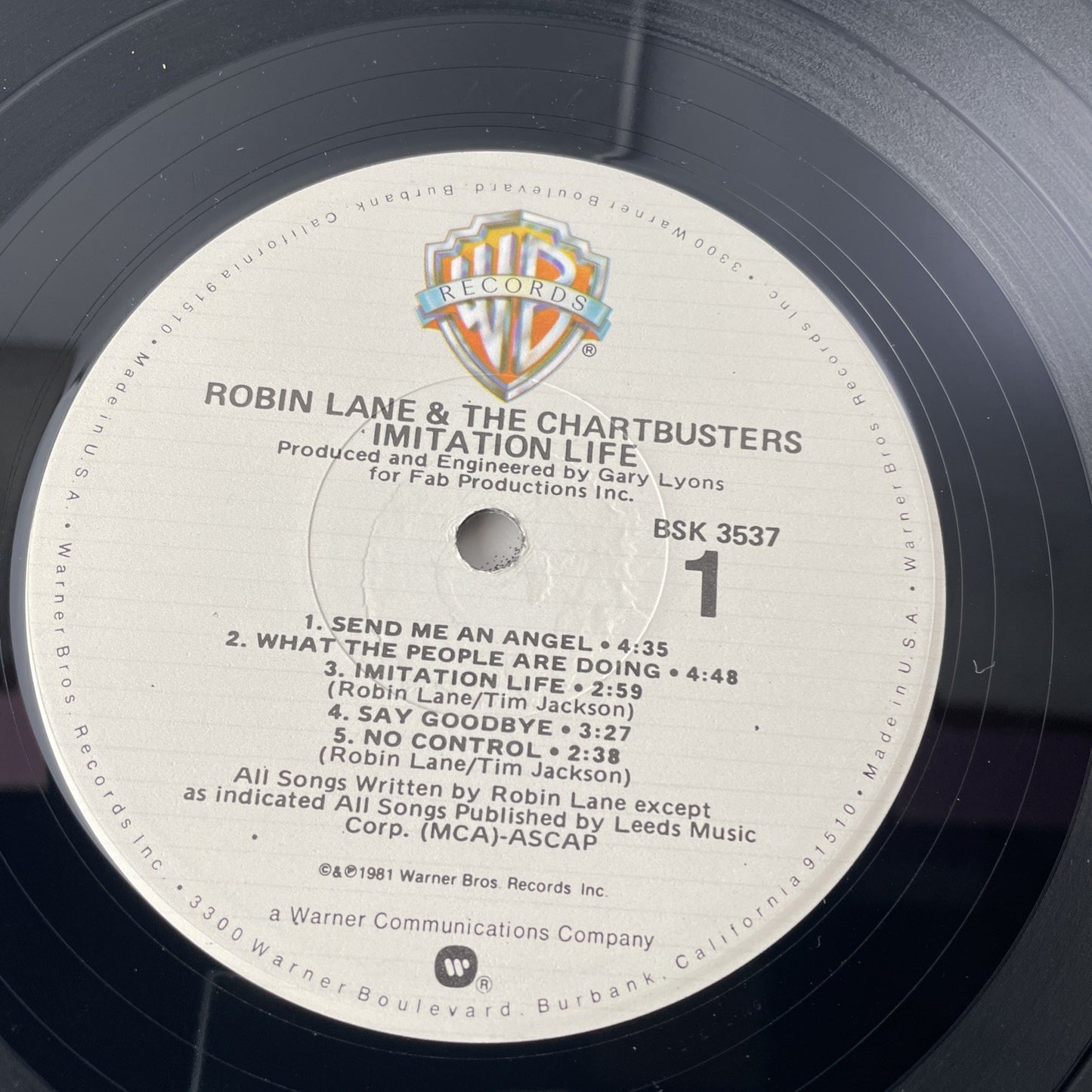 PROMO stamp Warner 1981 ROBIN LANE & THE CHARTBUSTERS Imitation Life lp vinyl