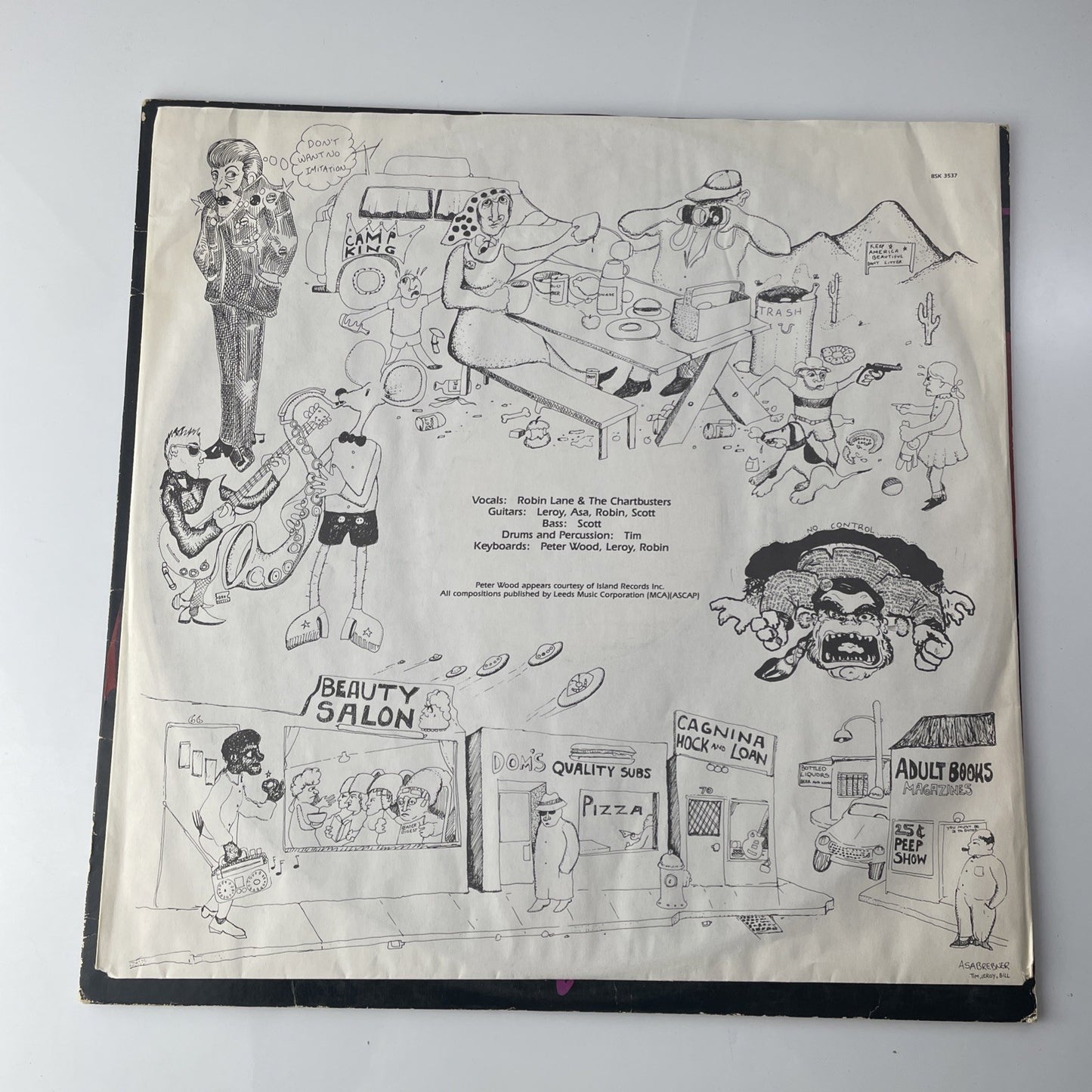 PROMO stamp Warner 1981 ROBIN LANE & THE CHARTBUSTERS Imitation Life lp vinyl