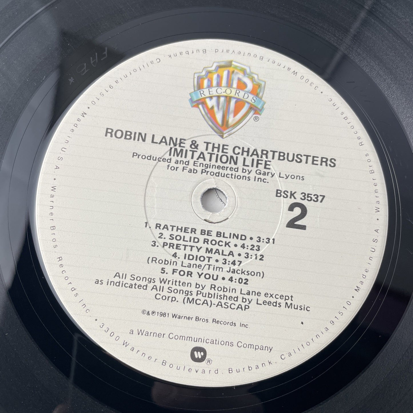 PROMO stamp Warner 1981 ROBIN LANE & THE CHARTBUSTERS Imitation Life lp vinyl